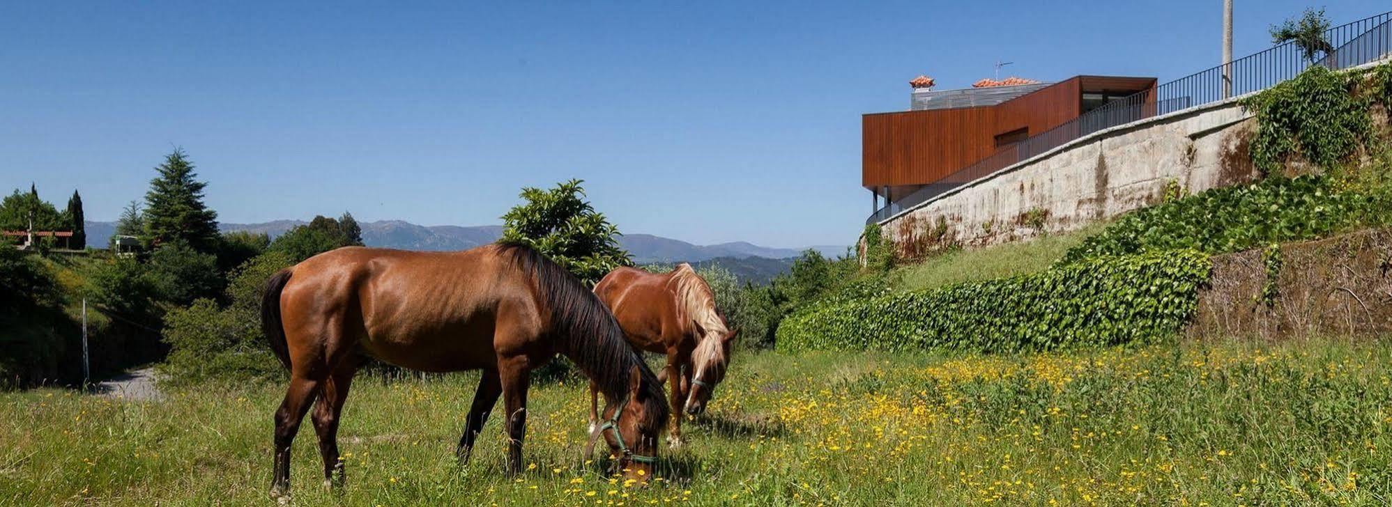 Villa Quinta Do Fontelo Vouzela Exterior foto