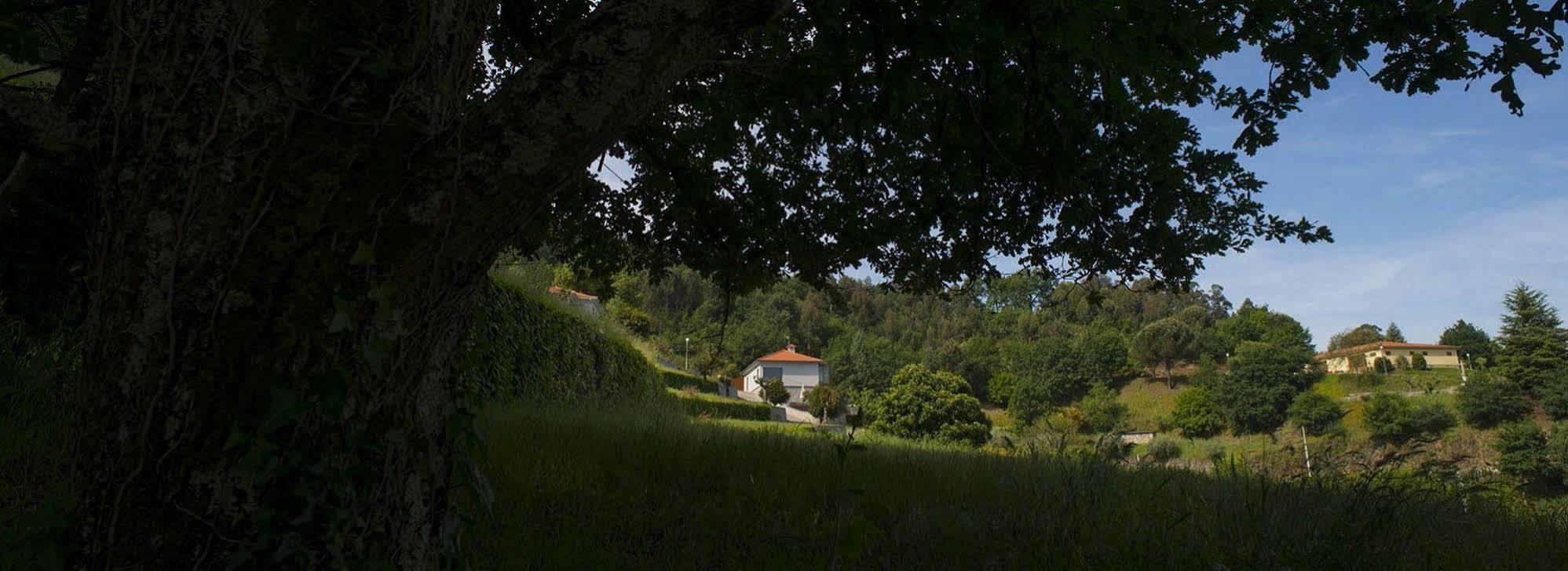 Villa Quinta Do Fontelo Vouzela Exterior foto